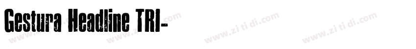 Gestura Headline TRI字体转换
